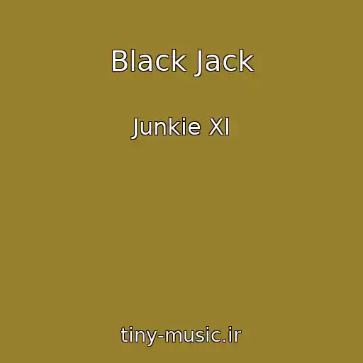 کاور آهنگ Black Jack از Junkie Xl