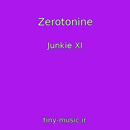 کاور آهنگ Zerotonine از Junkie Xl