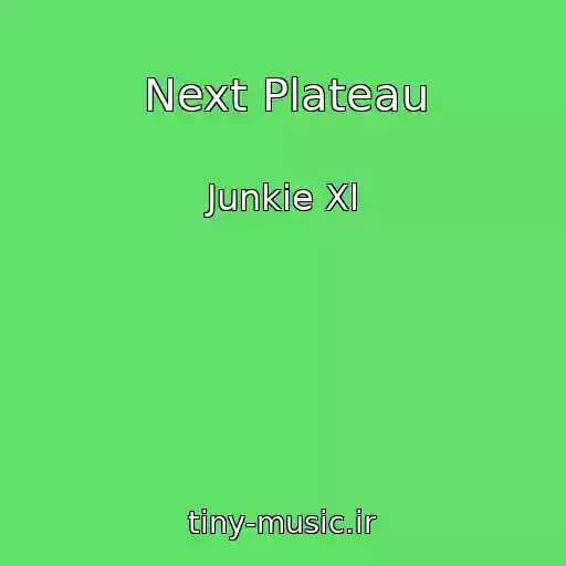 کاور آهنگ Next Plateau از Junkie Xl