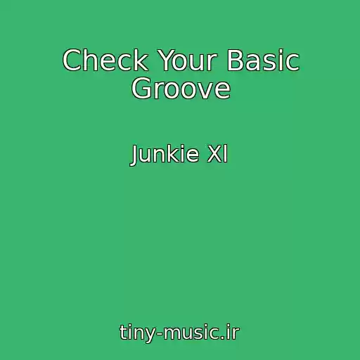 کاور آهنگ Check Your Basic Groove از Junkie Xl