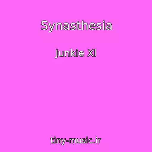 کاور آهنگ Synasthesia از Junkie Xl