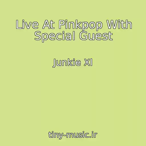 کاور آهنگ Live At Pinkpop With Special Guest از Junkie Xl