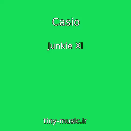 کاور آهنگ Casio از Junkie Xl