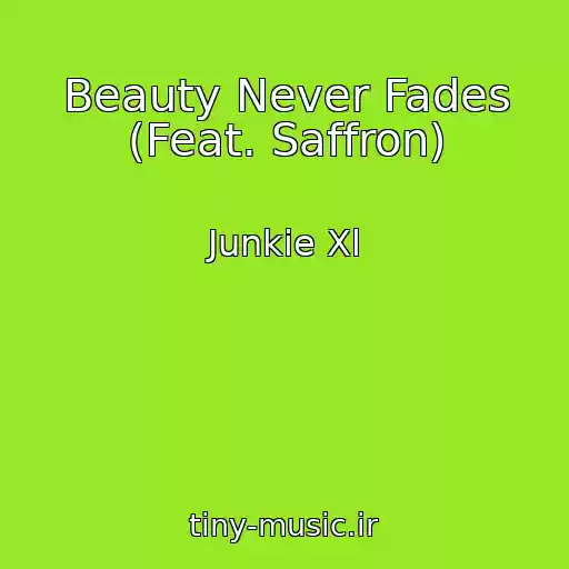 کاور آهنگ Beauty Never Fades (Feat. Saffron) از Junkie Xl