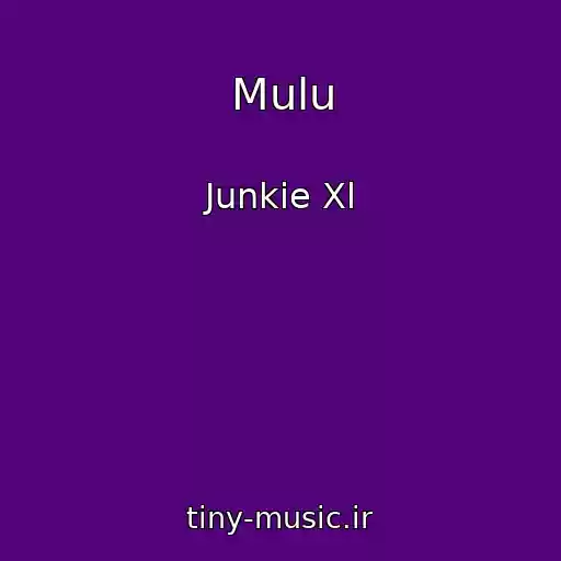 کاور آهنگ Mulu از Junkie Xl