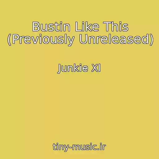 کاور آهنگ Bustin Like This (Previously Unreleased) از Junkie Xl