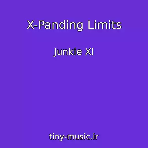 کاور آهنگ X-Panding Limits از Junkie Xl