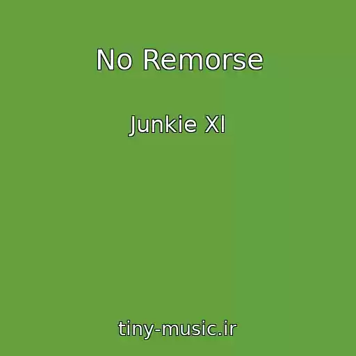 کاور آهنگ No Remorse از Junkie Xl