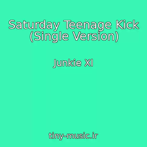 کاور آهنگ Saturday Teenage Kick (Single Version) از Junkie Xl