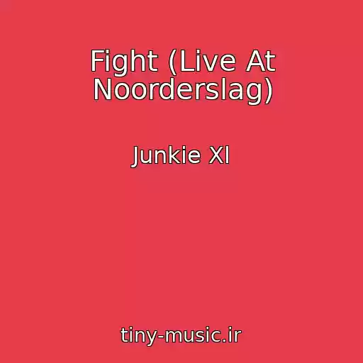 کاور آهنگ Fight (Live At Noorderslag) از Junkie Xl