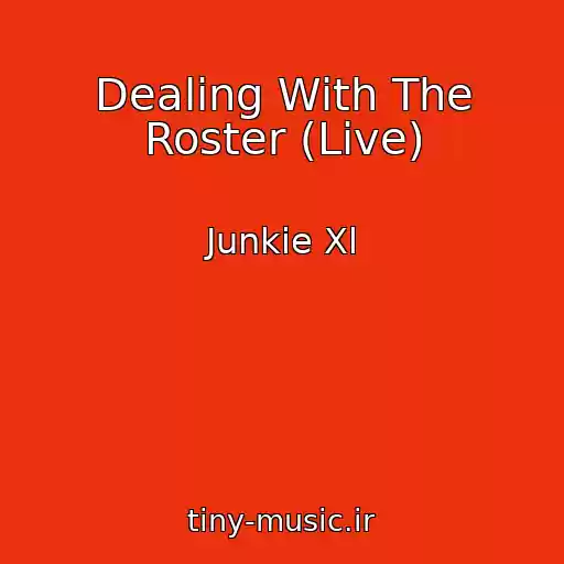 کاور آهنگ Dealing With The Roster (Live) از Junkie Xl