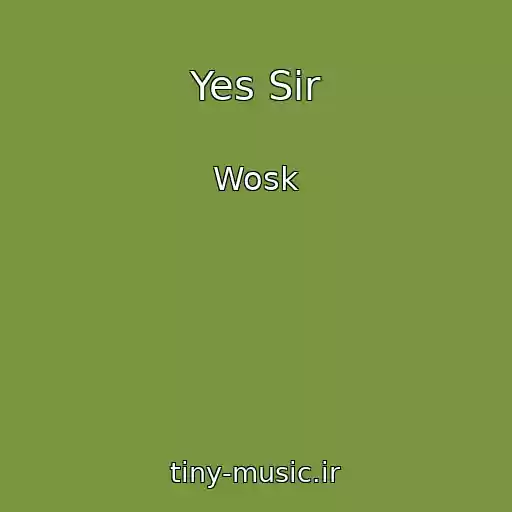 کاور آهنگ Yes Sir از Wosk