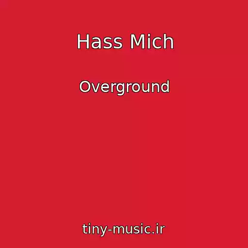 کاور آهنگ Hass Mich از Overground