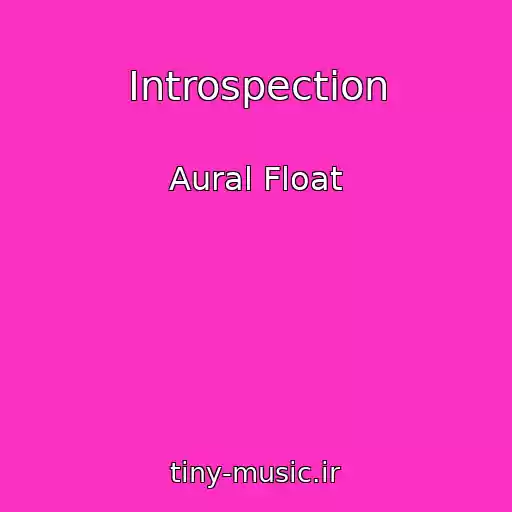 کاور آهنگ Introspection از Aural Float
