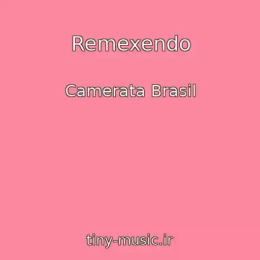 کاور آهنگ Remexendo از Camerata Brasil