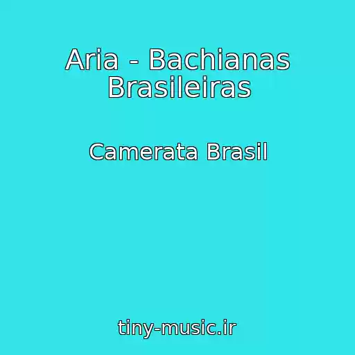 کاور آهنگ Aria - Bachianas Brasileiras از Camerata Brasil