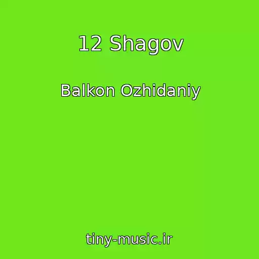 کاور آهنگ 12 Shagov از Balkon Ozhidaniy