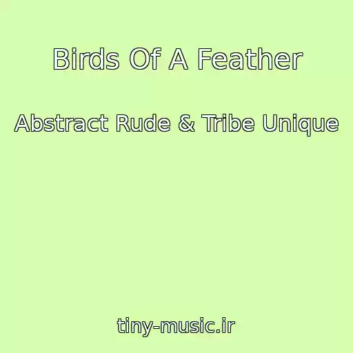 کاور آهنگ Birds Of A Feather از Abstract Rude & Tribe Unique