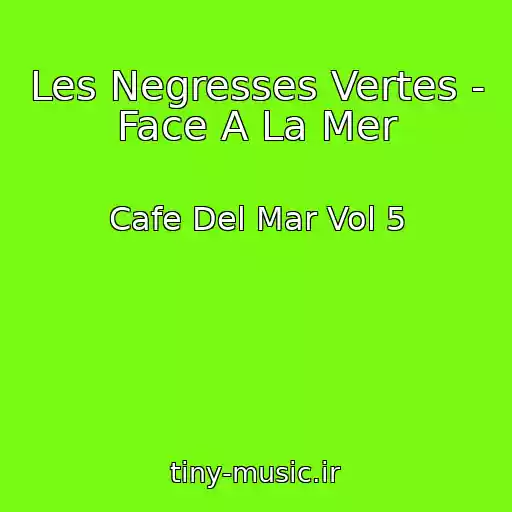کاور آهنگ Les Negresses Vertes - Face A La Mer از Cafe Del Mar Vol 5
