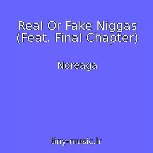 کاور آهنگ Real Or Fake Niggas (Feat. Final Chapter) از Noreaga