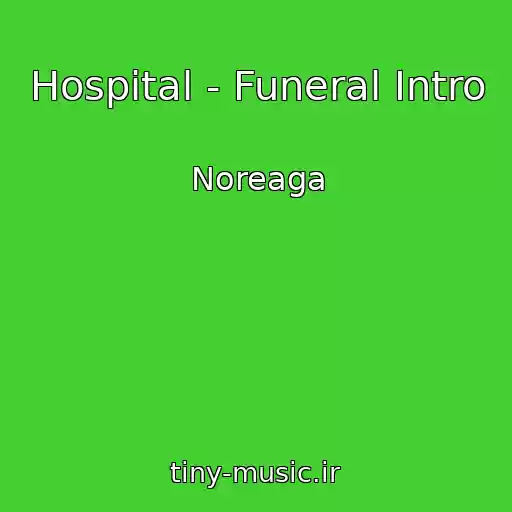 کاور آهنگ Hospital - Funeral Intro از Noreaga