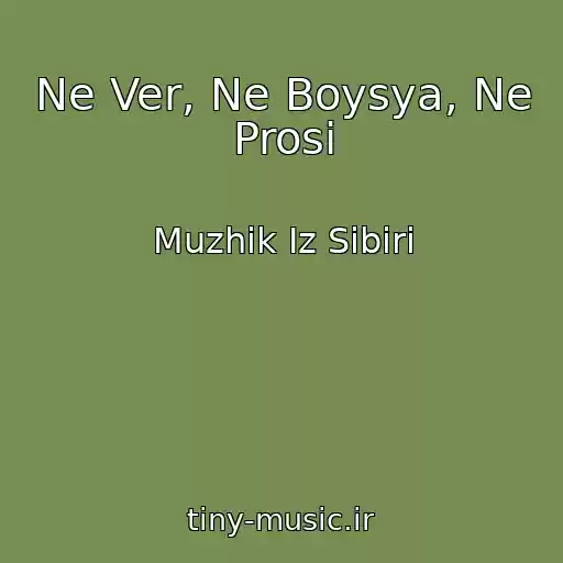 کاور آهنگ Ne Ver, Ne Boysya, Ne Prosi از Muzhik Iz Sibiri