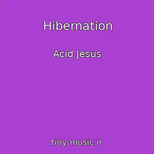 کاور آهنگ Hibernation از Acid Jesus