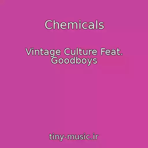 کاور آهنگ Chemicals از Vintage Culture Feat. Goodboys