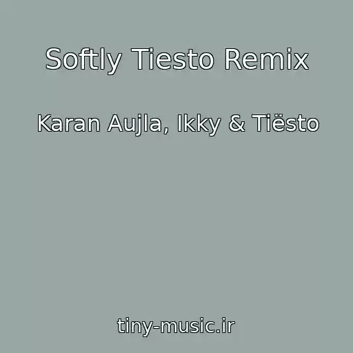 کاور آهنگ Softly Tiesto Remix از Karan Aujla, Ikky & Tiësto
