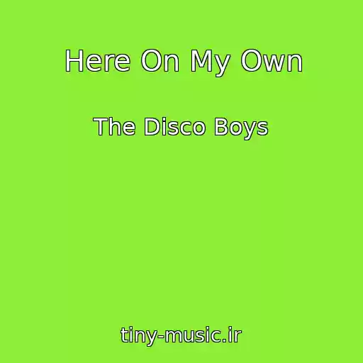 کاور آهنگ Here On My Own از The Disco Boys