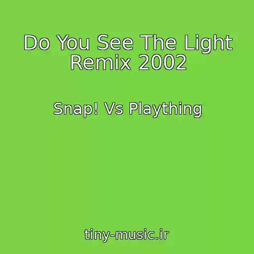 کاور آهنگ Do You See The Light Remix 2002 از Snap! Vs Plaything