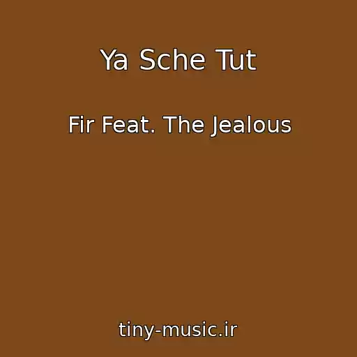 کاور آهنگ Ya Sche Tut از Fir Feat. The Jealous