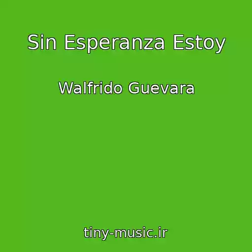 کاور آهنگ Sin Esperanza Estoy از Walfrido Guevara