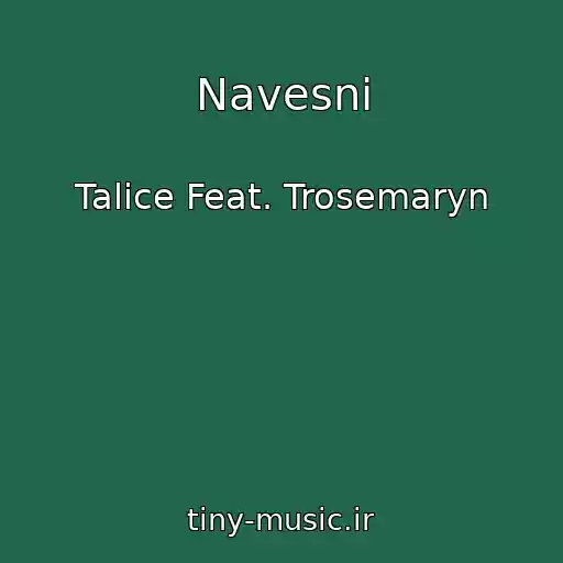 کاور آهنگ Navesnі از Talice Feat. Trosemaryn