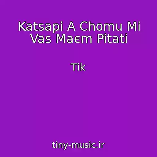 کاور آهنگ Katsapi A Chomu Mi Vas Maєm Pitati از Tіk
