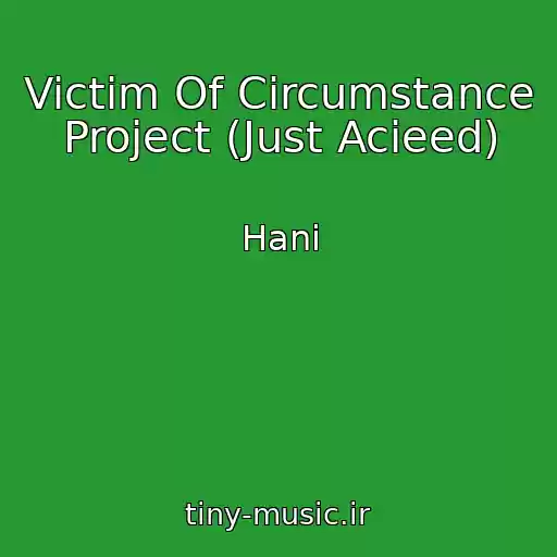 کاور آهنگ Victim Of Circumstance Project (Just Acieed) از Hani