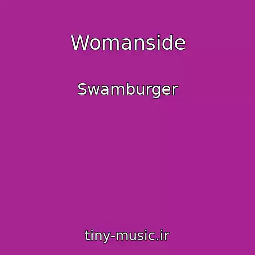 کاور آهنگ Womanside از Swamburger