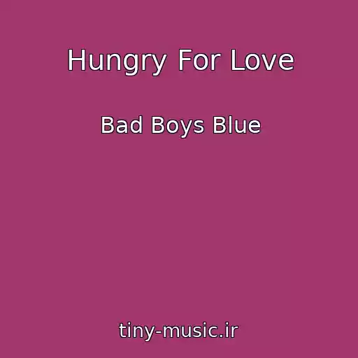 کاور آهنگ Hungry For Love از Bad Boys Blue