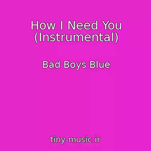 کاور آهنگ How I Need You (Instrumental) از Bad Boys Blue