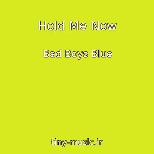 کاور آهنگ Hold Me Now از Bad Boys Blue