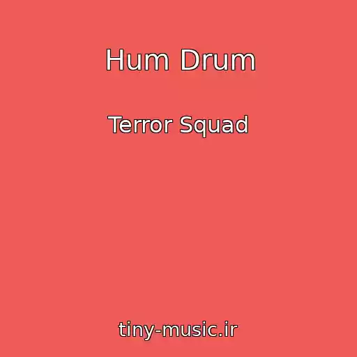 کاور آهنگ Hum Drum از Terror Squad