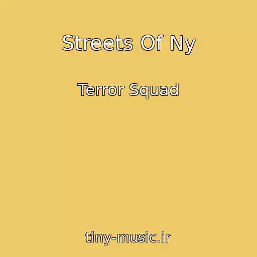 کاور آهنگ Streets Of Ny از Terror Squad