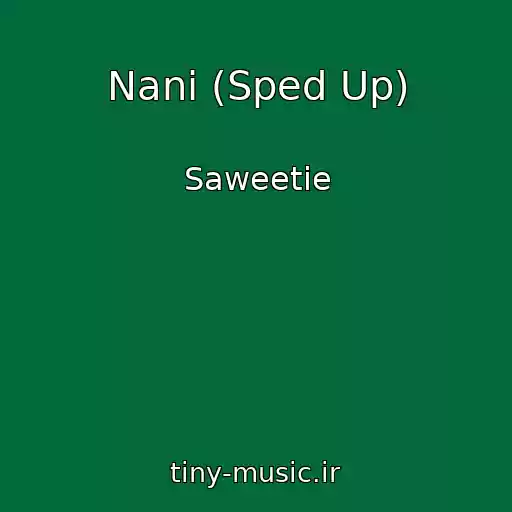 کاور آهنگ Nani (Sped Up) از Saweetie
