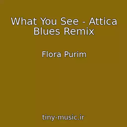 کاور آهنگ What You See - Attica Blues Remix از Flora Purim