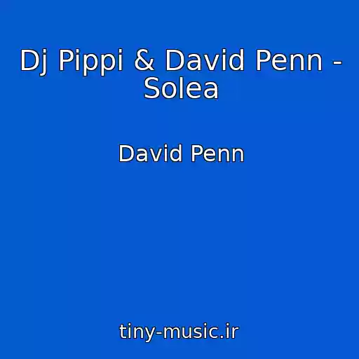 کاور آهنگ Dj Pippi & David Penn - Solea از David Penn