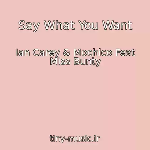 کاور آهنگ Say What You Want از Ian Carey & Mochico Feat Miss Bunty