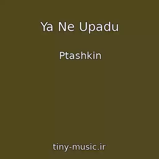 کاور آهنگ Ya Ne Upadu از Ptashkin