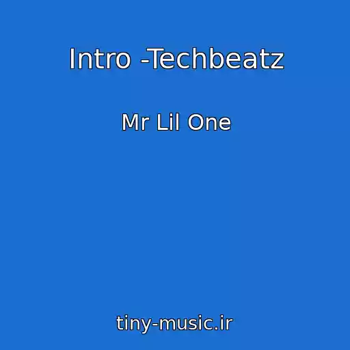 کاور آهنگ Intro -Techbeatz از Mr Lil One