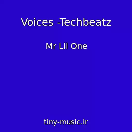 کاور آهنگ Voices -Techbeatz از Mr Lil One