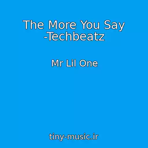 کاور آهنگ The More You Say -Techbeatz از Mr Lil One